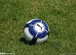 年西安职工,电子竞技锦,标赛圆满结,哈哈体育官方网站,哈哈体育,(HAHA,SPORT),哈哈体育平台首页,哈哈体育平台官网入口