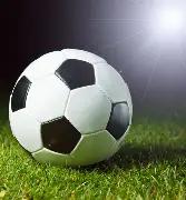 金槐王树,哈哈体育平台官网入口,哈哈体育官方网站,哈哈体育官方网站,哈哈体育,(HAHA,SPORT),哈哈体育平台首页,哈哈体育平台官网入口