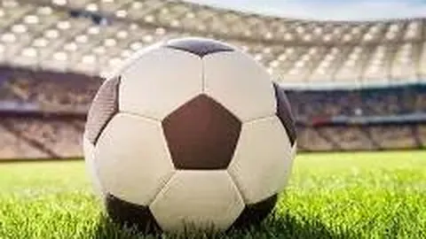 刘亦菲与杨紫琼竞逐徐克新作，角逐清代首位女海盗角色