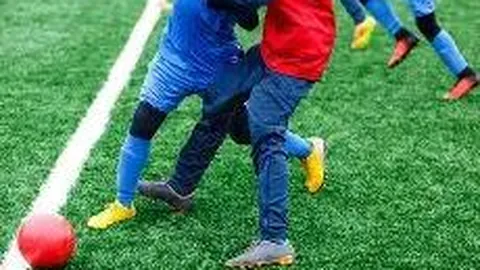 哈哈体育平台官网入口 资讯 112835 n8g