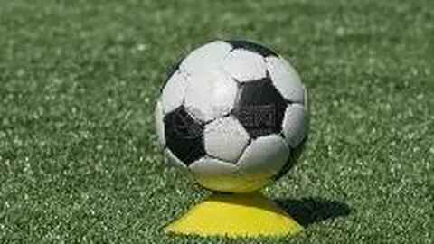 哈哈体育平台官网入口 资讯 092533 xna